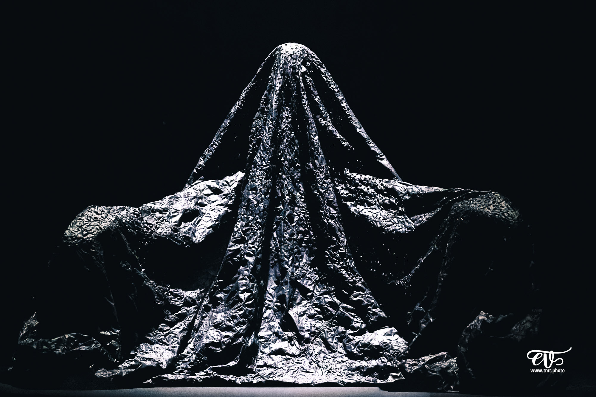 PARADISUM (CIE RECIRQUEL)